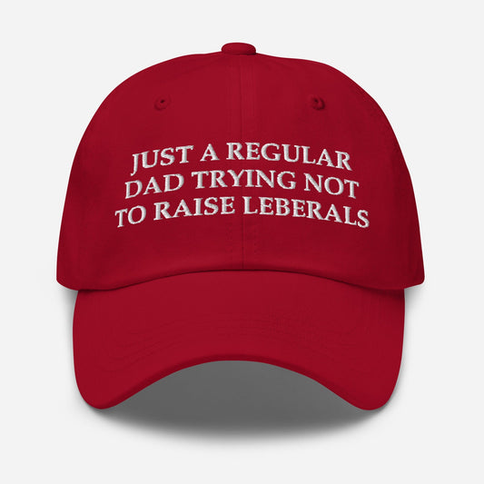Just a Regular Dad trying not to Raise Liberals